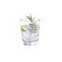 B12013 แก้วน้ำ - Tiara Rock 365 ml
