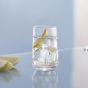 B18310 แก้วน้ำ - Patio Tumbler Hi Ball 290 ML